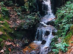 -莫里热带雨林景区