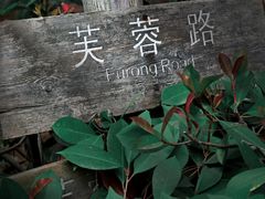 -合肥滨湖国家森林公园