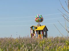 -杭州湾海上花田景区