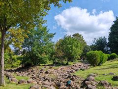 -白塘生态植物园