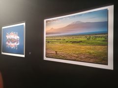 -罗红摄影艺术馆