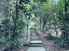 -顺峰山公园