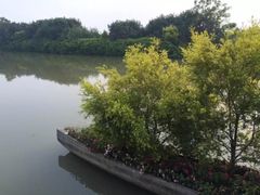 -大湾区中央湿地公园