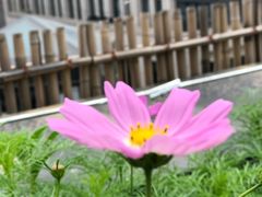 -瓦库茶馆17号(海汇港店)