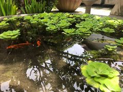 -槟城观音庙(Goddess of Mercy)