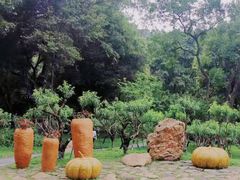 -广州市白云山风景名胜区