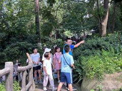 -成都市活水公园