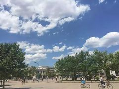 -南开大学滨海学院