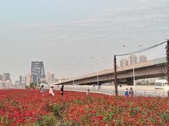 -汉江湾体育公园