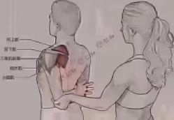 -香薇妮丝女子减肥院