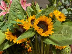 -爱尚幸福鲜花(上地实体店)