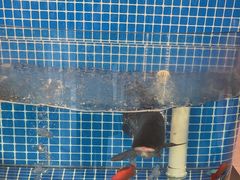 -徐家屯铁锅炖(宋家庄店)