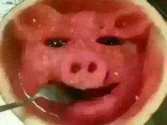 -金太狼4k国际影城