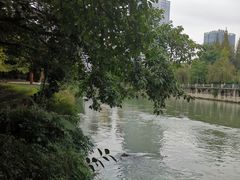 -成都市活水公园