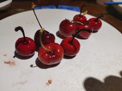 -小大董·烤鸭(五棵松店)