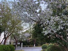 -石湖景区