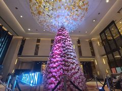 -中山喜来登酒店