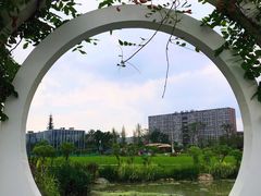 -天府芙蓉园