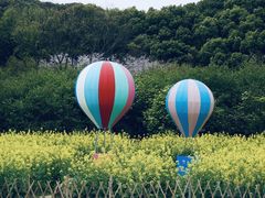 -苏州上方山国家森林公园