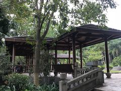 -滴水岩森林公园