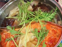 -呷哺呷哺(西单大悦城店)