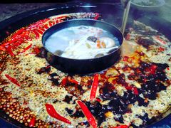 南北鸳鸯锅-重庆渝达老火锅(春熙路店)