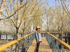 -东郊湿地公园