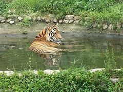 -西安秦岭野生动物园