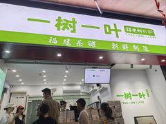 -一树一叶·福建茶档(石鼓路店)