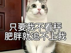 -卡漫莫尼蛋糕(私人定制店)