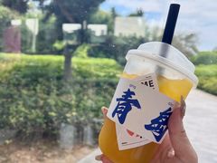 -青岛金沙滩