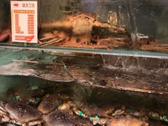 -超级物种(省府店)