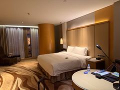 -深圳温德姆至尊酒店
