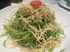 空心菜苗-打酱油·非遗淮扬菜(瘦西湖梅岭店)