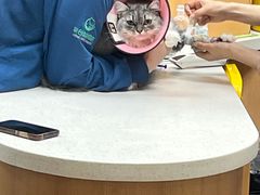 -联合动物医院(光谷诊疗中心)