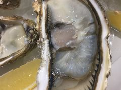 -蚝堡海鲜·威海菜·海肠捞饭·烧烤·亚洲吃蚝公司(幸福门店)