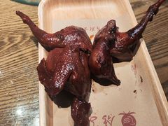 -鸽子窝(青塔店)