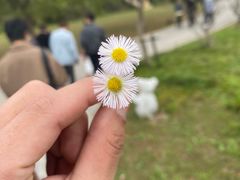 -上海都市菜园