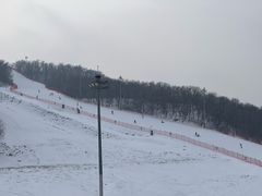 -长春莲花山滑雪场