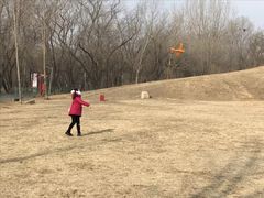 -廊坊市自然公园