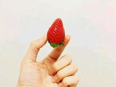 -龙泉小镇(科圣路店)