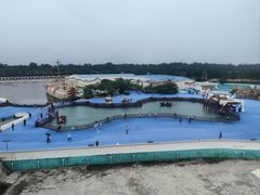 -秦皇岛乐岛海洋王国