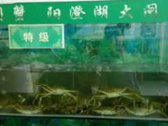 -喜洋洋蟹庄(阳澄湖店)