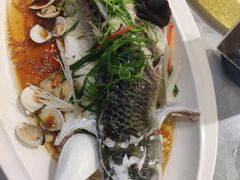 -鹭园酒家·四十年老字号