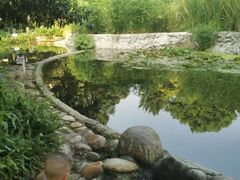 -成都市活水公园