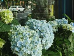 -亭亭鲜花店(中山北路店)