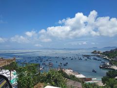 -枸杞岛