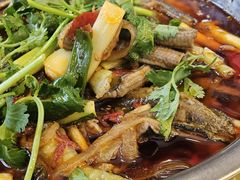 -高坎一品甲鱼庄(两河店)