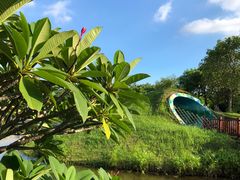 -福田红树林生态公园