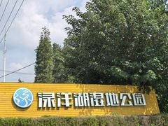 -渌洋湖湿地公园